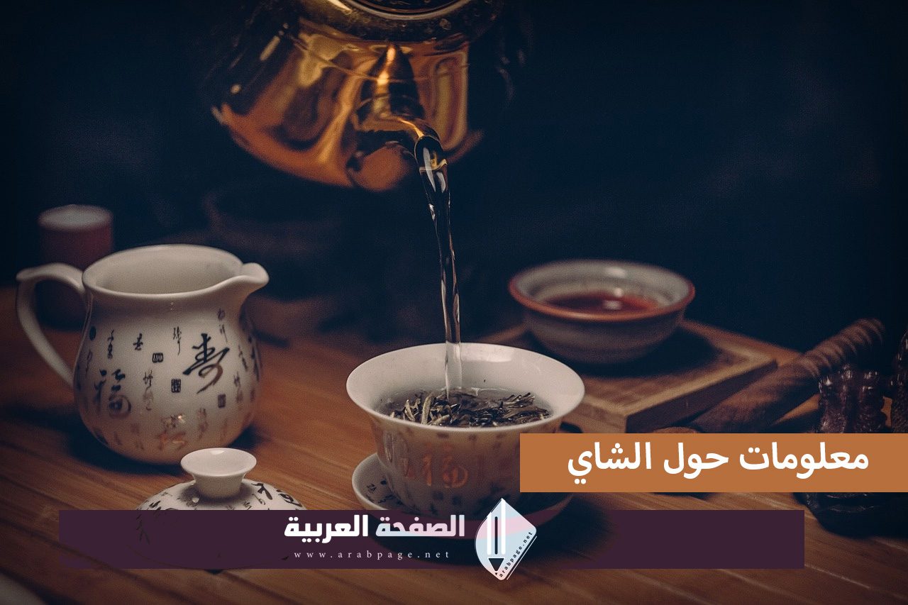 اليوم العالمي للشاي معلومات عن الشاي تعرف على الشاي الاخضر الأسود الأحمر 9